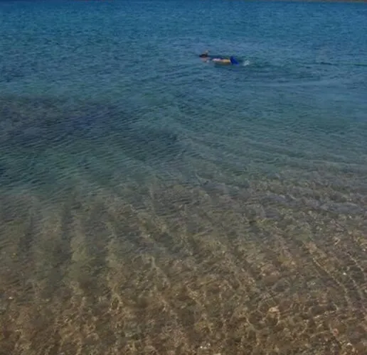 Holidayhouse In With Pool